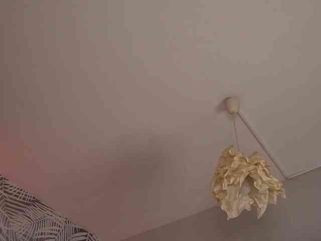 kimmblaze webcam