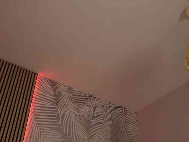 kimmblaze webcam