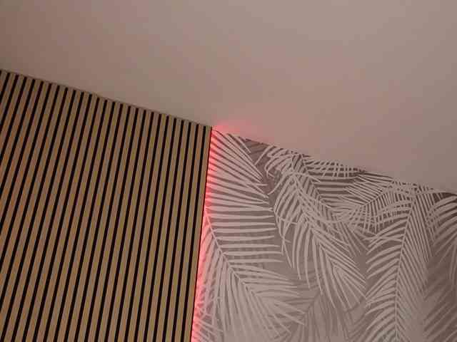 kimmblaze webcam