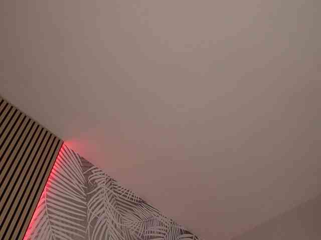 kimmblaze webcam