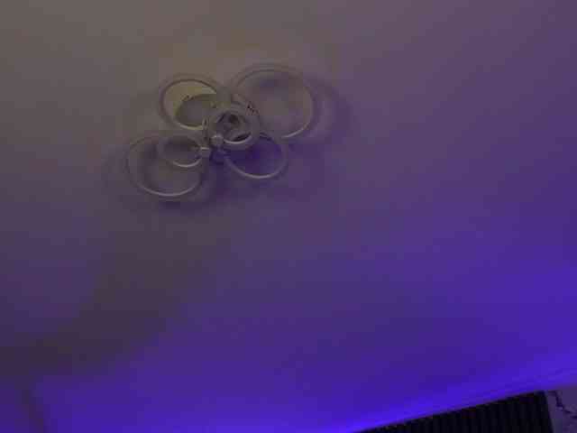 kimmblaze webcam