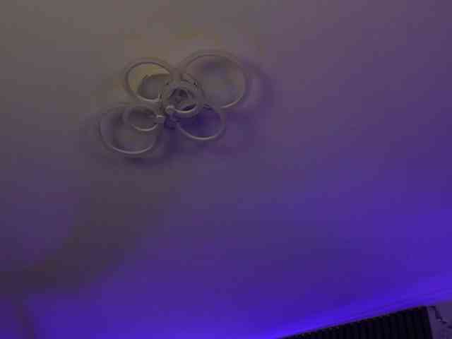 kimmblaze webcam