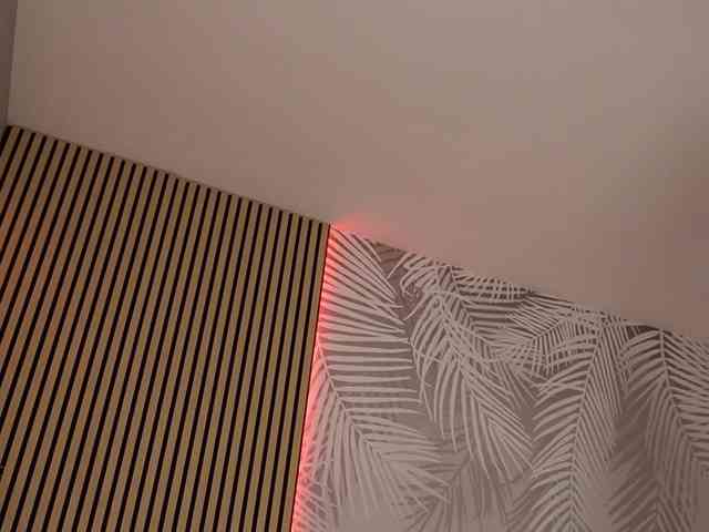 kimmblaze webcam
