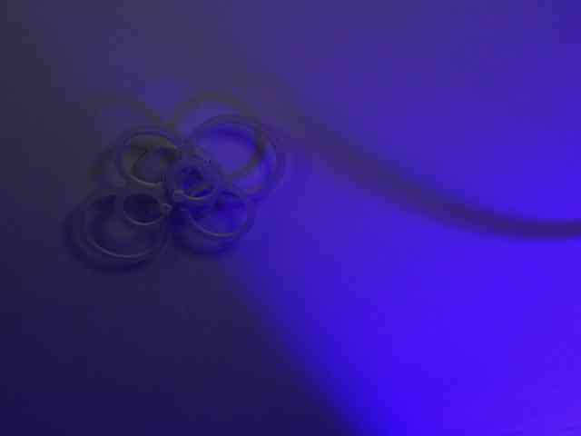 kimmblaze webcam