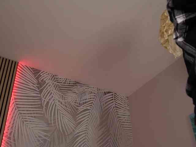 kimmblaze webcam
