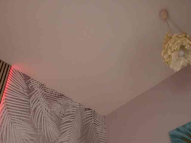 kimmblaze webcam