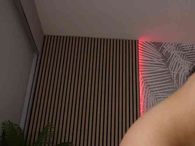 kimmblaze webcam