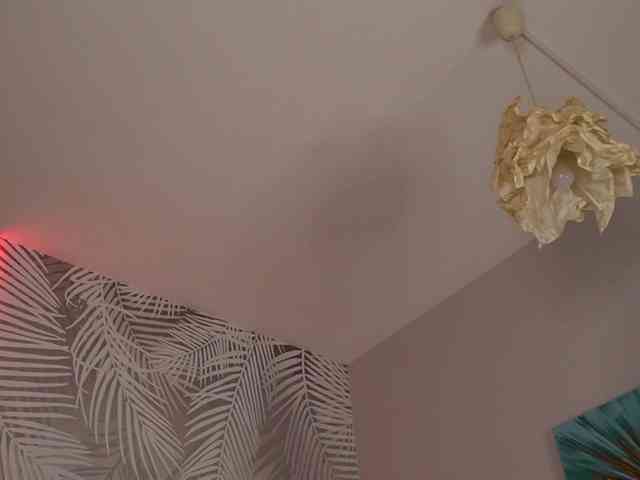 kimmblaze webcam