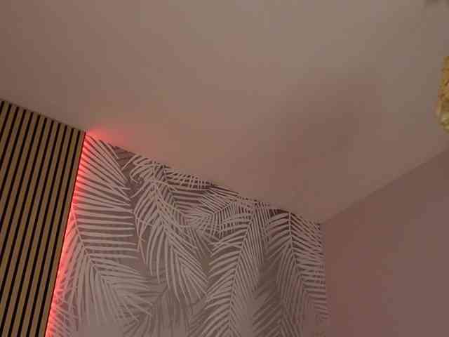 kimmblaze webcam