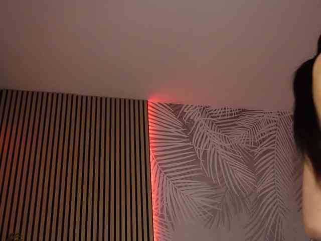 kimmblaze webcam