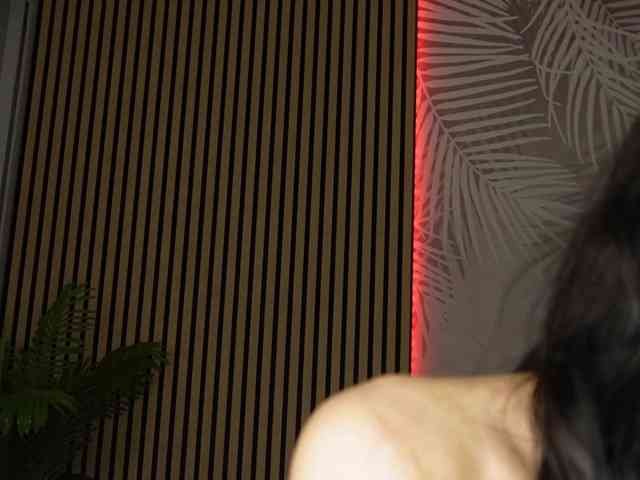 kimmblaze webcam