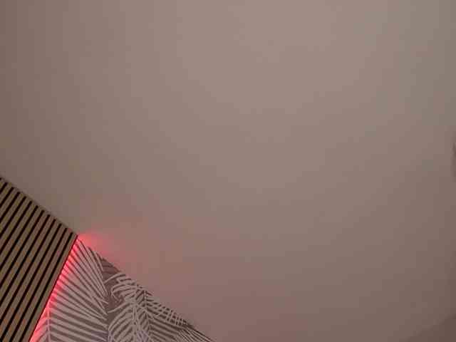 kimmblaze webcam