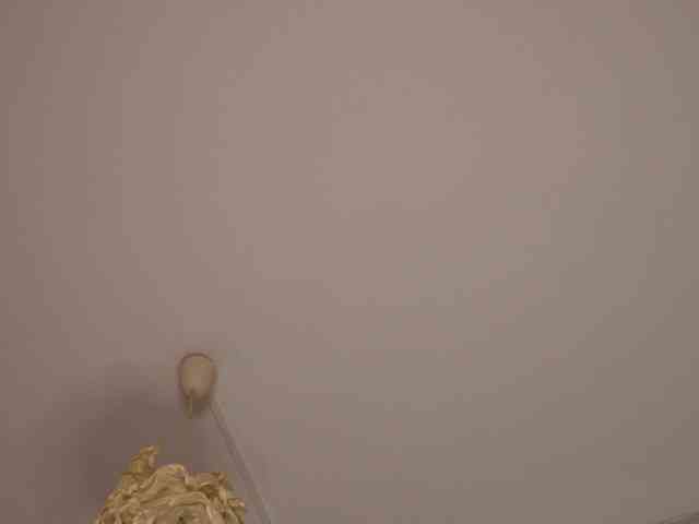 kimmblaze webcam