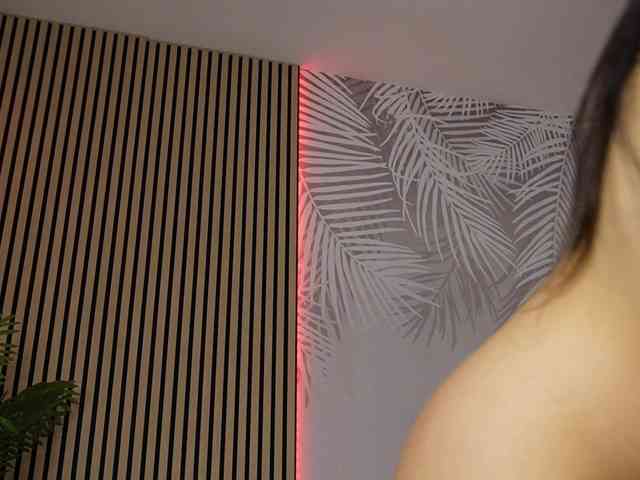 kimmblaze webcam