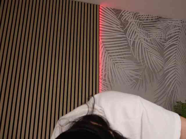 kimmblaze webcam