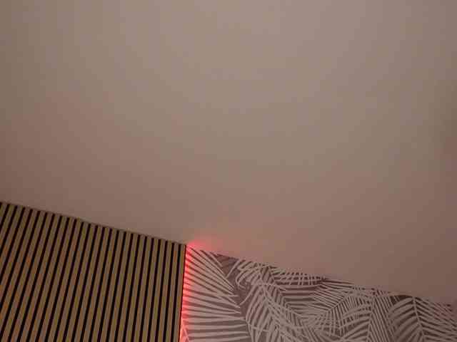 kimmblaze webcam