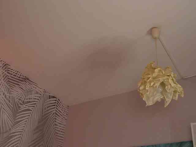 kimmblaze webcam