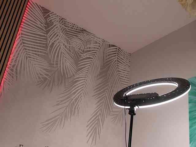kimmblaze webcam