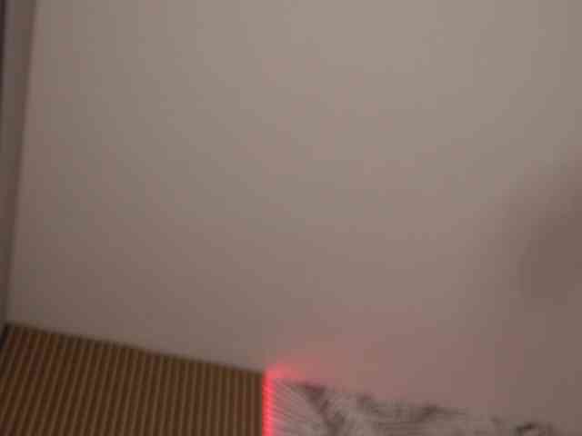 kimmblaze webcam