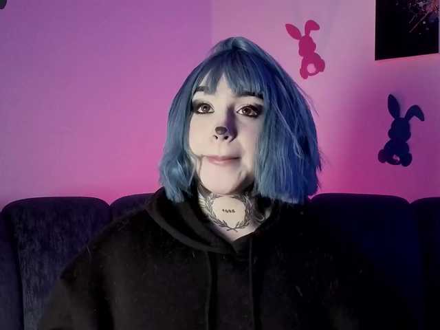 Meowboo webcam