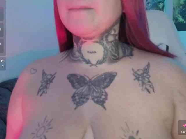 Meowboo webcam