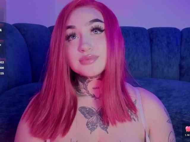 Meowboo webcam
