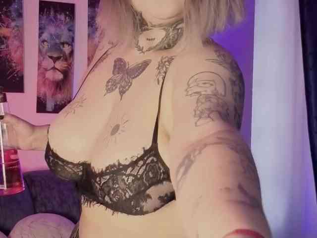 Meowboo webcam
