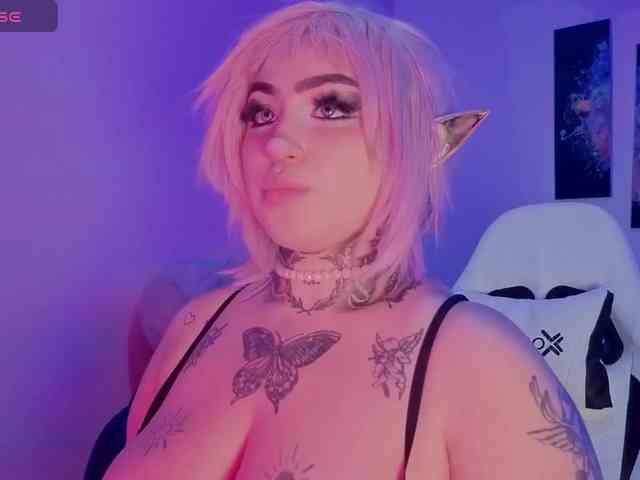 Meowboo webcam
