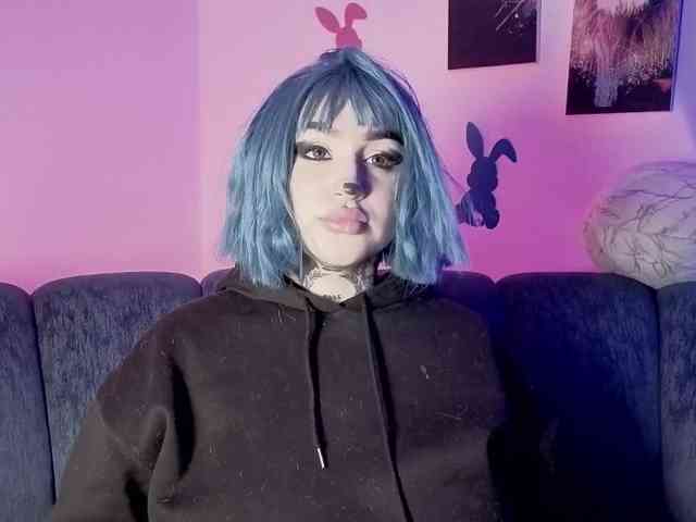 Meowboo
