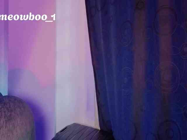 Meowboo webcam