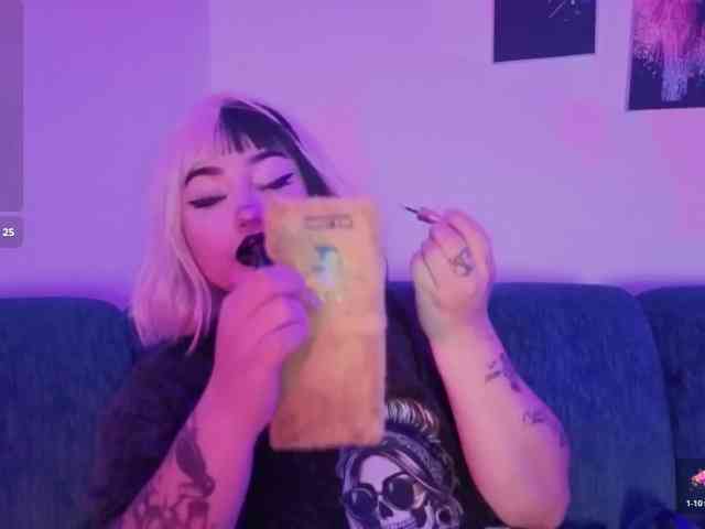 Meowboo webcam