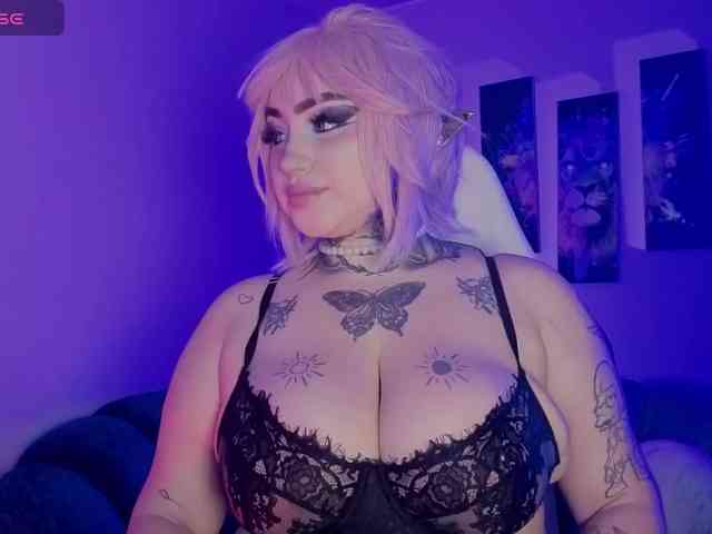 Meowboo webcam