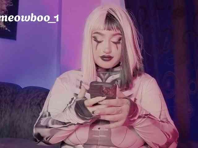 Meowboo webcam
