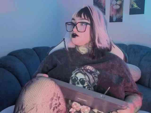 Meowboo webcam