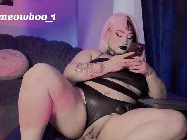 Meowboo webcam