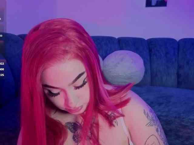 Meowboo webcam