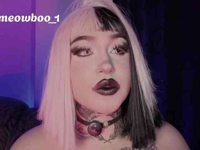 Meowboo webcam