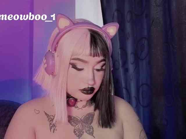Meowboo webcam