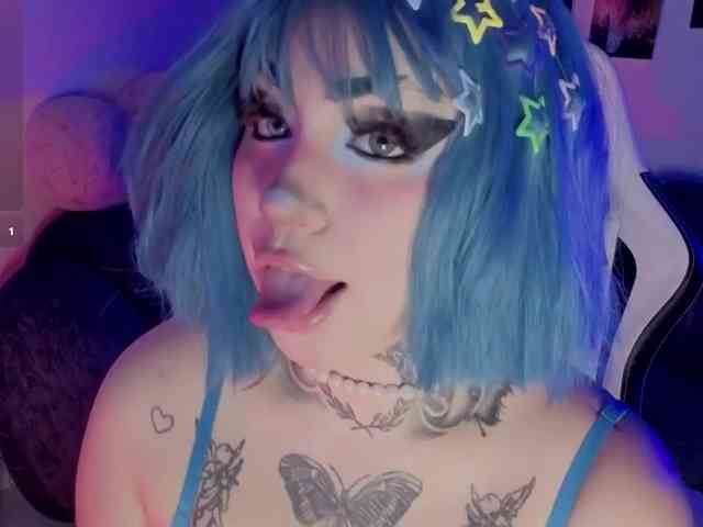 Meowboo webcam