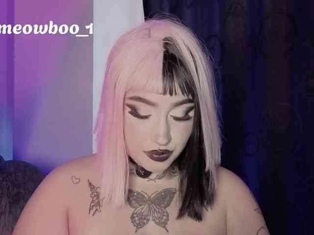 Meowboo webcam