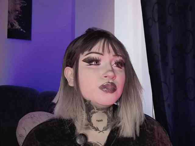 Meowboo webcam