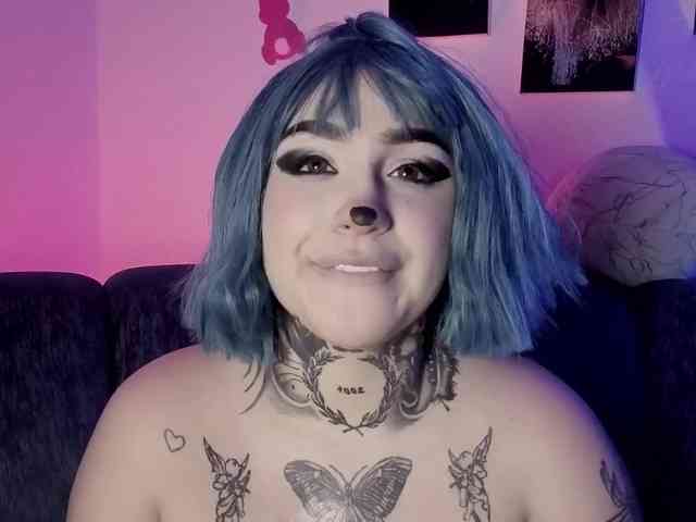 Meowboo