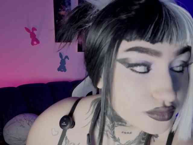 Meowboo