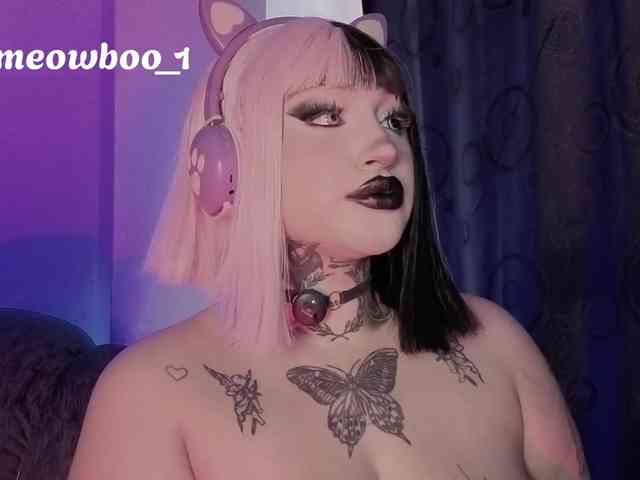 Meowboo webcam