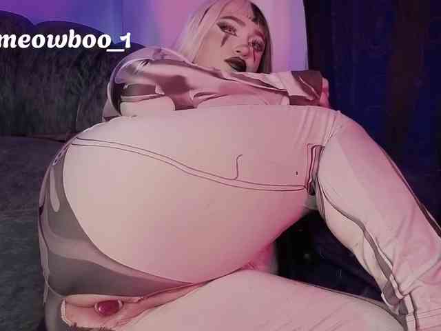 Meowboo webcam