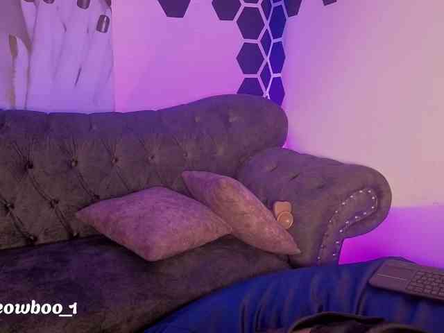 Meowboo webcam