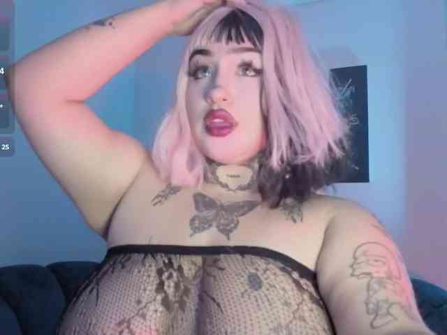 Meowboo webcam
