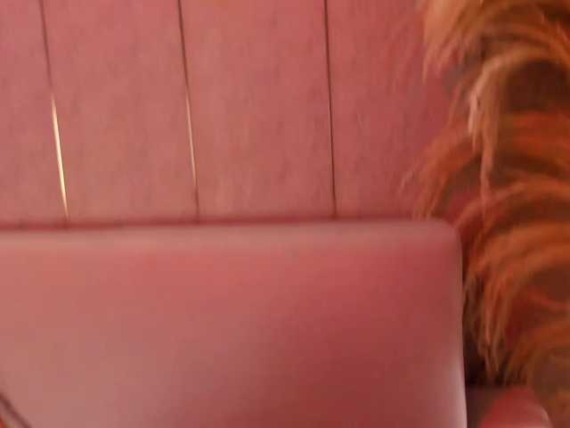morganasmit live cam on BongaCams