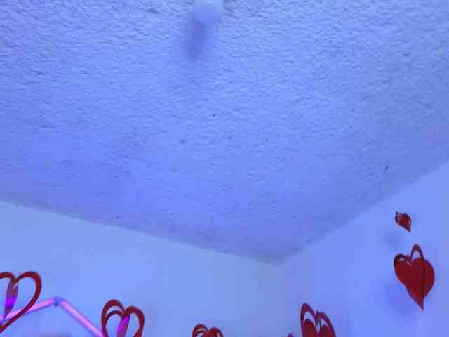 littlevixen webcam