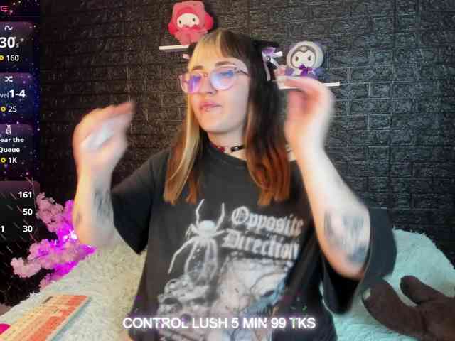 Модель: Gomory-kitty